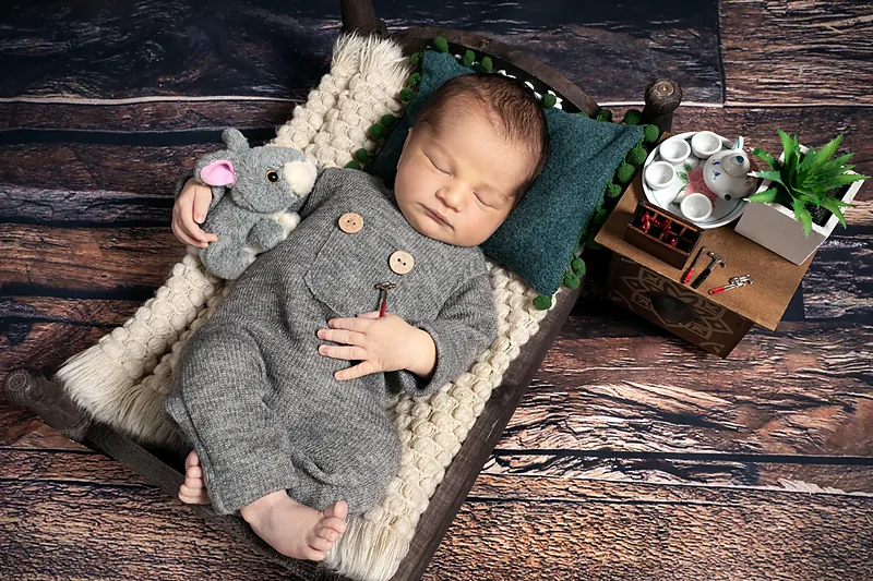 Newborn in a grey outfit lying in a small wooden bed with a mouse toy and a little plant